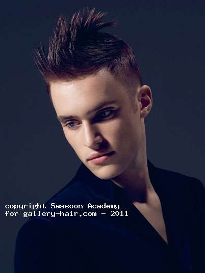 Fotos de peluquería: Hombres - Castaño - Corto 