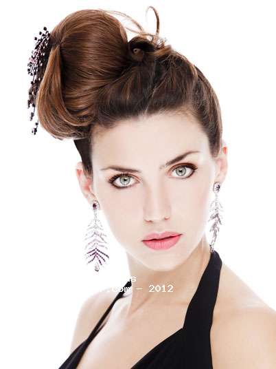 Fotos de peluquería: Recogidos - Castaño -  