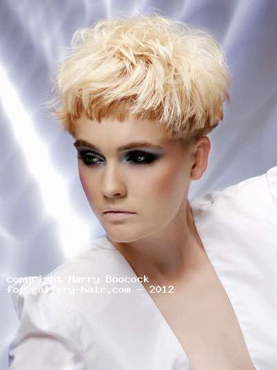 Fotos de peluquería:  - Rubio - Corto 