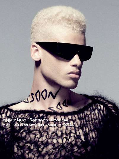 Fotos de peluquería:  - Rubio - Corto 