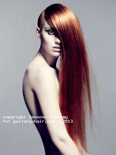 Fotos de peluquería:  - Rojizos - Largo 