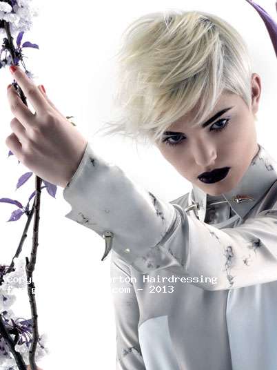 Fotos de peluquería:  - Rubio - Corto 