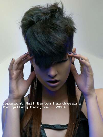 Fotos de peluquería:  - Moreno -  