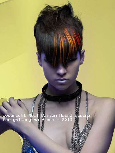 Fotos de peluquería:  - Fantasía -  