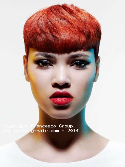 Fotos de peluquería:  - Rojizos - Corto 