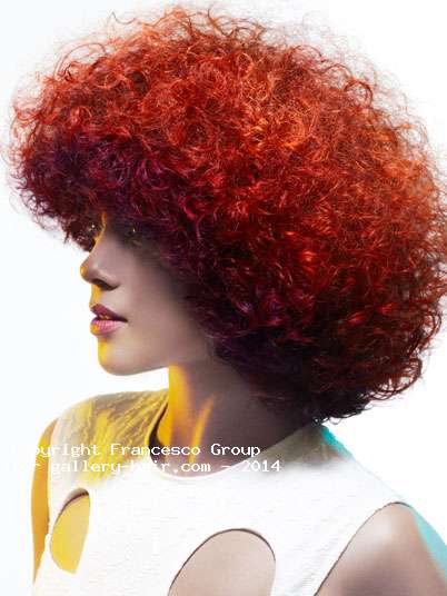 Fotos de peluquería:  - Rojizos -  