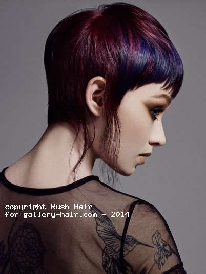 Fotos de peluquería:  - Fantasía -  