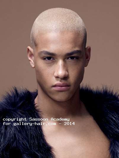 Fotos de peluquería: Hombres - Rubio - Corto 