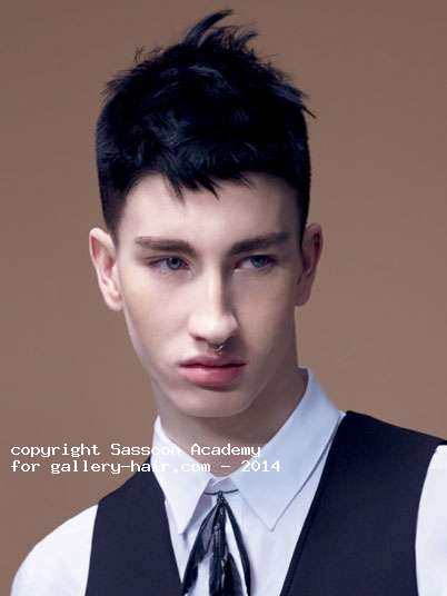 Fotos de peluquería: Hombres - Moreno - Corto 