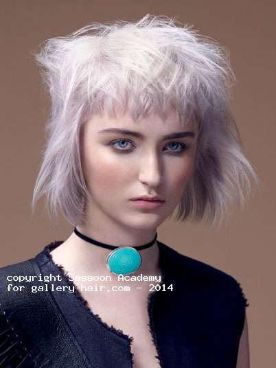 Fotos de peluquería:  - Gris - Media melena 