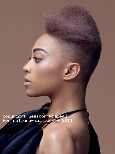 Fotos de peluquería:  -  - Corto 