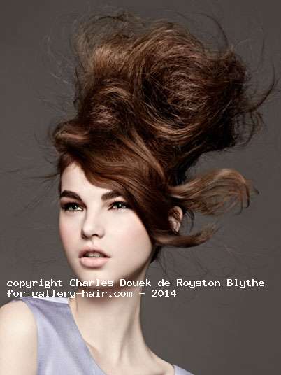 Fotos de peluquería: Recogidos - Castaño -  