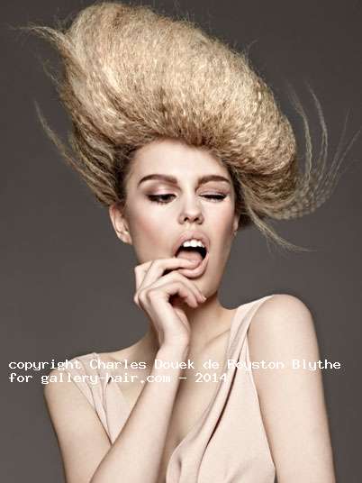 Fotos de peluquería: Recogidos - Rubio -  