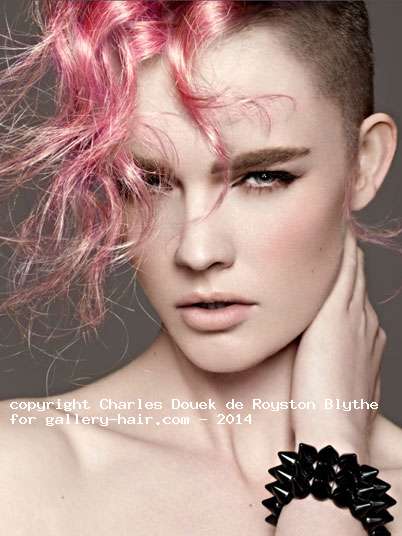 Fotos de peluquería:  - Fantasía -  