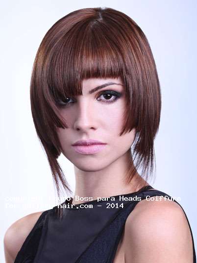 Fotos de peluquería: - Castaño - Media melena