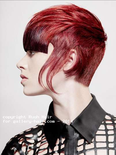 Fotos de peluquería:  - Castaño - Corto 