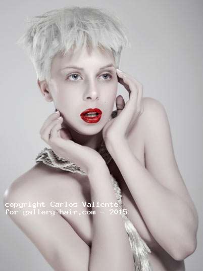 Fotos de peluquería: Desfilados - Rubio - Corto 