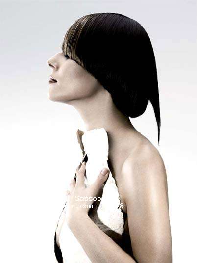 Fotos de peluquería: Bob - Moreno - Corto 