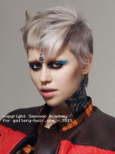 Fotos de peluquería: Desfilados - Rubio - Corto 