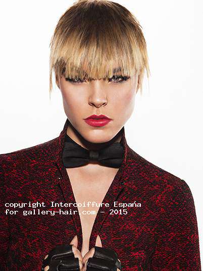 Fotos de peluquería: Desfilados - Rubio - Corto 