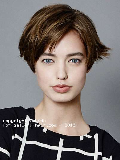 Fotos de peluquería:  - Castaño - Corto 