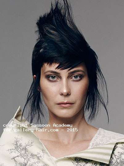 Fotos de peluquería:  - Moreno -  