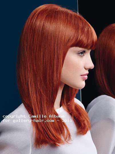 Fotos de peluquería:  - Rojizos - Largo 