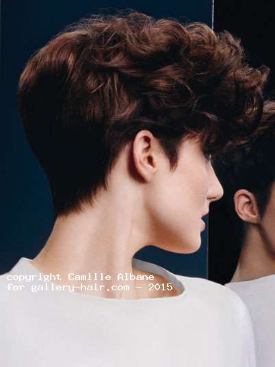 Fotos de peluquería:  - Castaño - Corto 