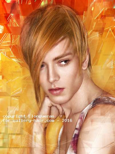 Fotos de peluquería:  - Rojizos -  