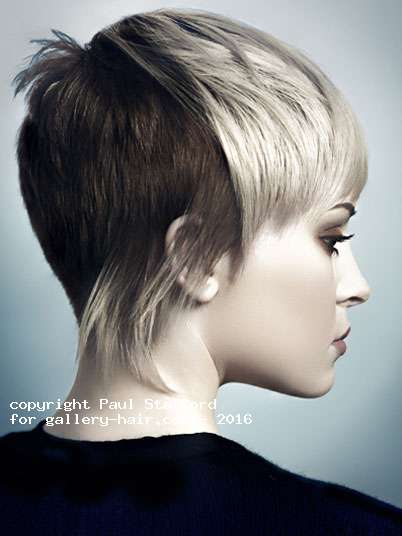 Fotos de peluquería: Desfilados - Rubio - Corto 