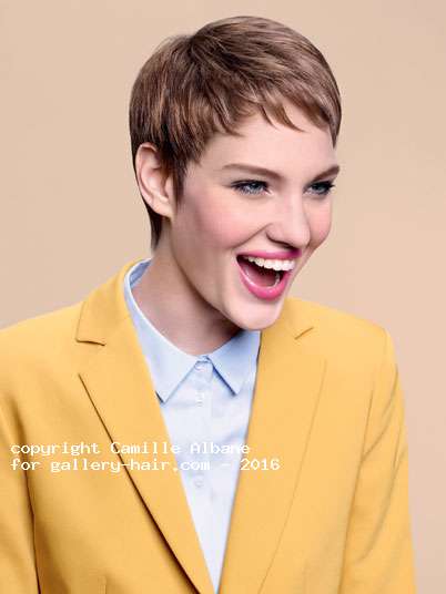 Fotos de peluquería: Desfilados - Castaño - Corto 