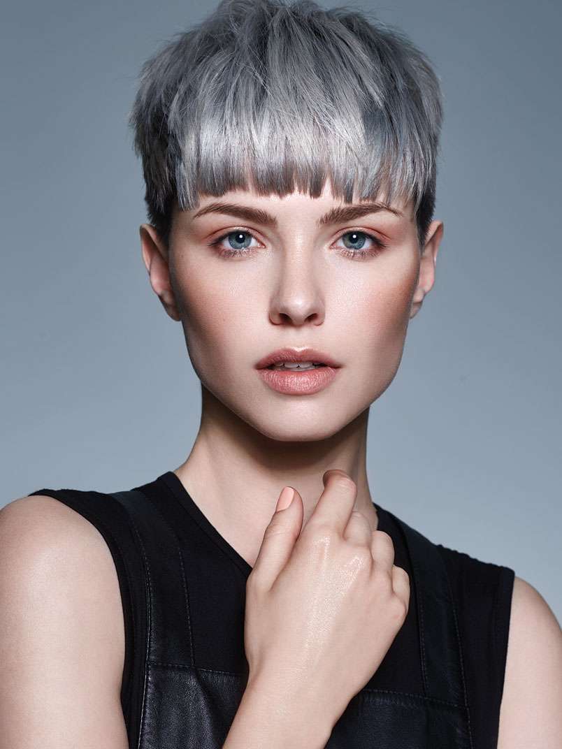 Fotos de peluquería: - Gris - Corto