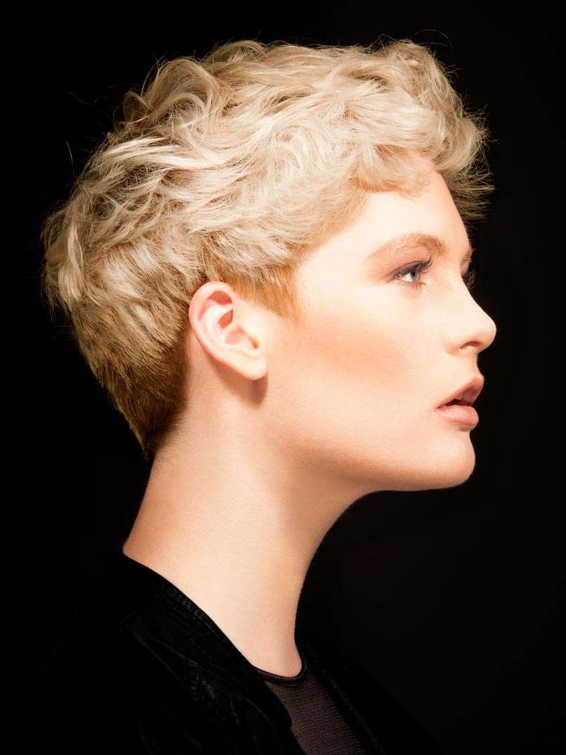 Fotos de peluquería: - Rubio - Corto