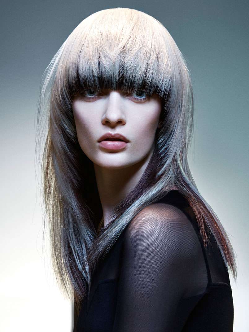 Fotos de peluquería:  - Gris - Largo 