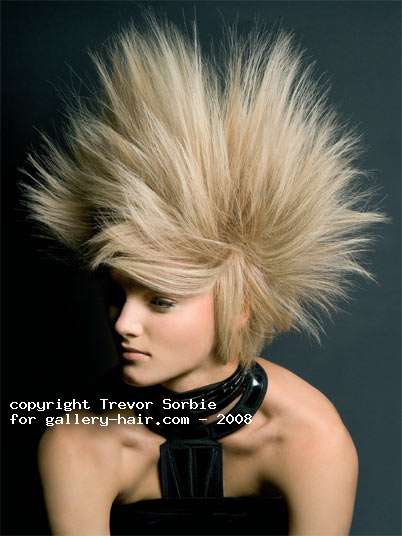 Fotos de peluquería: Volumen - Rubio - Media melena 