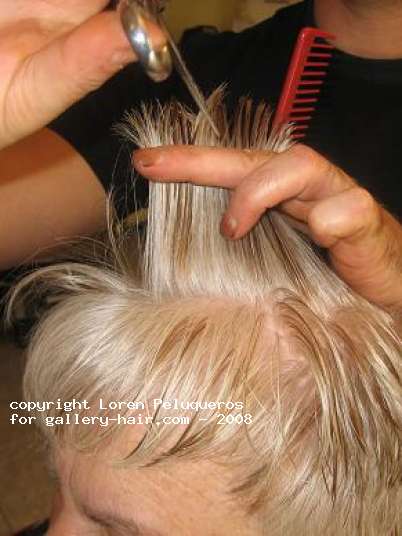 Fotos de peluquería:  -  -  