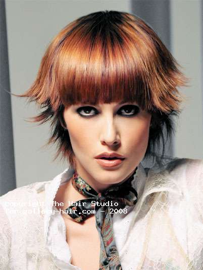 Fotos de peluquería: Capas - Rojizos - Corto 