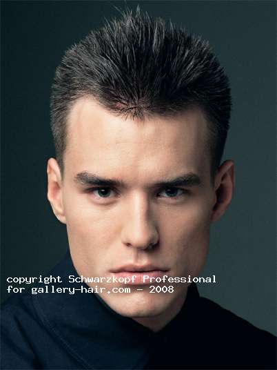 Fotos de peluquería: Hombres - Moreno - Corto 