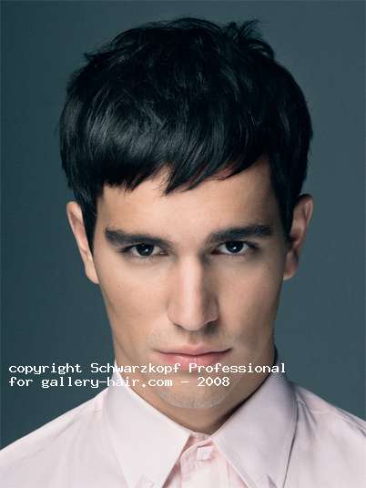 Fotos de peluquería: Hombres - Moreno - Corto 