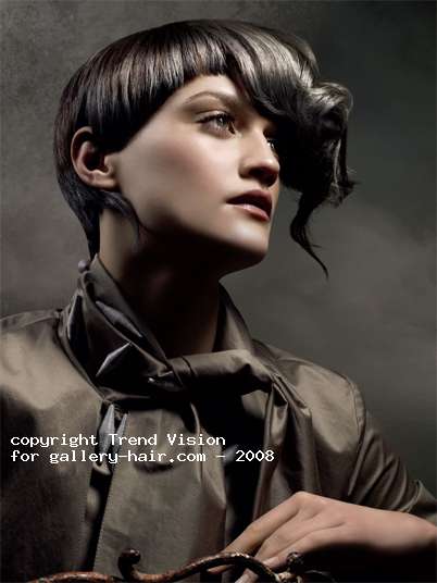 Fotos de peluquería: Asimétrico - Castaño - Corto 