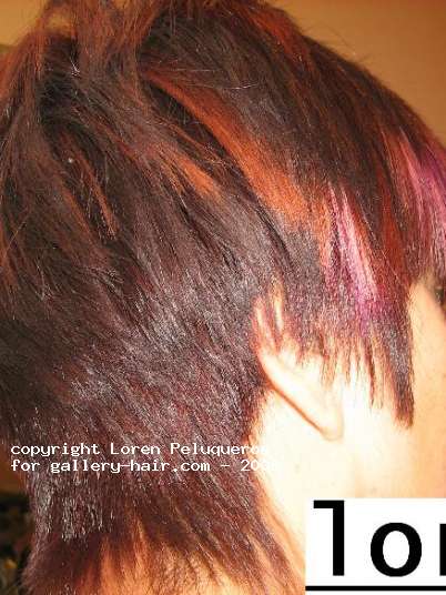 Fotos de peluquería:  -  -  