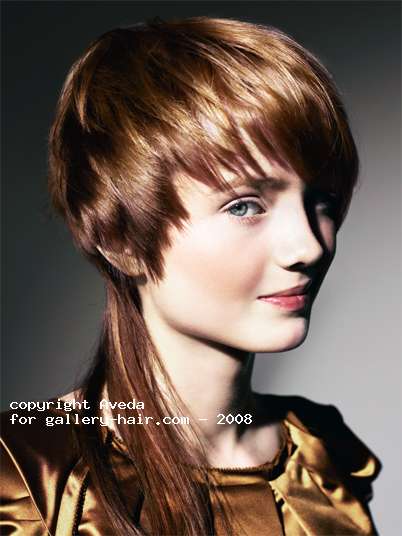 Fotos de peluquería: Escalados - Rojizos - Largo 